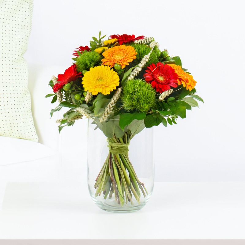 Gerbera "Dreifarbigkeit"